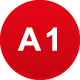 A1
