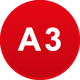 A3